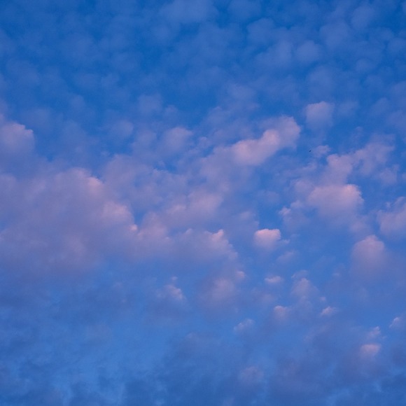 Meet your Posher, Devon - Picture 1 of 1